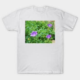 Campanula Carpatica 1 T-Shirt